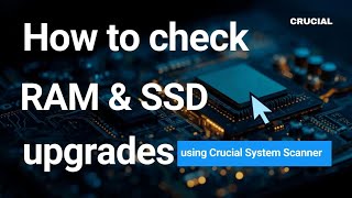 How to check RAM type on computer - crucial system scanner