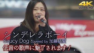 【 歌うま 】低音の歌声に魅了されます！　シンデレラボーイ / Saucy Dog（covered by 加藤結愛 ）4K映像