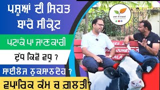 ਪਸ਼ੂਆਂ ਨਾਲ ਜੁੜੇ ਕੀਮਤੀ ਸਵਾਲ Cow silage and health management by Experts