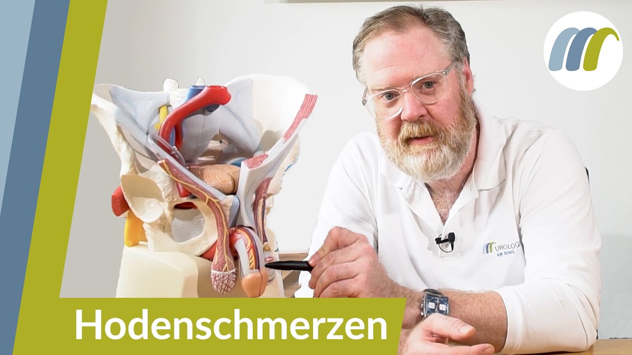 Schmerzen In Den Hoden Oder Der Leiste? - Das Sind Die Häufigsten ...