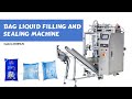 How to use ZS-GFYT320 Bag Liquid Filling And Sealing Machine