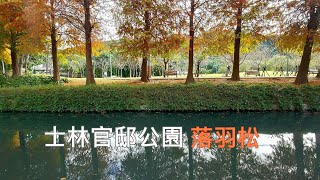 士林官邸落羽松紅了 台北士林官邸公園園內楓樹、落羽松、小花海，每年12月至翌年2月逐漸變紅 ，農曆新年前後是最佳觀賞時間 Shilin Residence Park