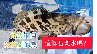 沈底釣大物～結果釣到這種魚～