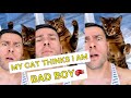 My Cat Things I Am a BAD BOY #mycat #pet #cute #petsofyoutube #pets #viral #funny #foryou #love