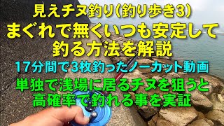 見えチヌ釣り（釣り歩き３）河川の石積み護岸で見えチヌと探し歩き数釣りするための成功と失敗の事例を解説【前打ち／ヘチ釣り／落とし込み／河川／クロダイ／カニ／釣り方／サイトフィッシング】