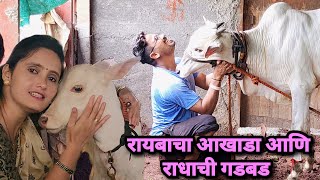 रायबाचा आखाडा आणि आपल्या राधाची गडबड | Nad Ekach Ekach Bailgada Sharyat |