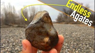 The Beach is COVERED in Gemstones | Finding Endless Agates and Petrified Wood | Montana Rockhounding