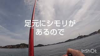 海釣り　岡山　宇野沖　京の上臈島　1-11　エイ