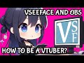 How To Be A Vtuber? VSeeface, programm to animate your vtuber 3d! [Tutorial]