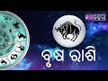 ବୃଷ ରାଶି ବ୍ୟକ୍ତି ମାନଙ୍କର ଶୁଭ ରଙ୍ଗ ଶୁଭ ଅଙ୍କ ଶୁଭ ରତ୍ନ ଏବଂ ଜୀବନ ମନ୍ତ୍ର astrology for taurus