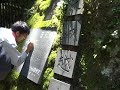 静岡　函南町 真壁石でお墓をつくりたいのですが