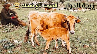 ريحة الدوار مع جدارمية #الموت_ديال_ضحك #riht_douar #ريحة_الدوار الموت ديال الضحك 😂😂😂