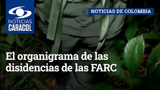 El organigrama de las disidencias de las FARC: informe reservado da cuenta de 37 grupos