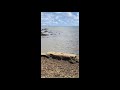 lets learn the chamorro language of guam bear rock agfayan bay inarajan guam