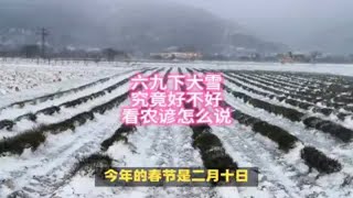 六九下大雪好不好，看看农谚怎么说