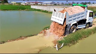 New Project!5T Dump Truck Filling Land Flooded Area Conneted Road, Skill Bulldozer Pushing Perfectly