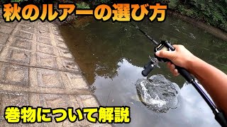 【秋のバス釣り】ルアーローテの1投目ってこんな凄かったっけ？