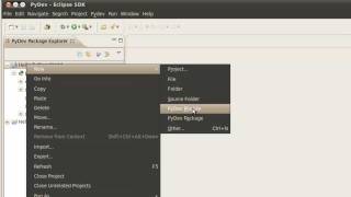 Install PyDev Python Plugin into Eclipse
