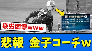 【多忙】悲報　金子投手コーチ・・・www【プロ野球反応集】【2chスレ】【5chスレ】