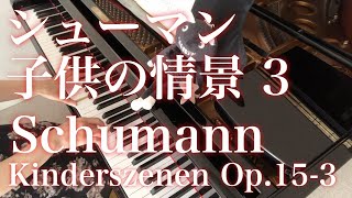 シューマン：子供の情景 Op.15-3 鬼ごっこ／Schumann: Kinderszenen Op.15-3 \