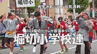 阿波踊り「堀切小学校連」（鳴り物：堀切あやめ連）Awa Odori Dance - 2024堀切かつしか菖蒲まつり（2024.6.9）