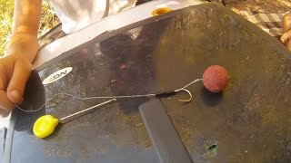 Montaje básico de carpfishing | HD