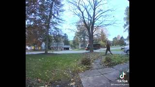 Dog breaks through glass door on camera