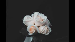 Classical music for Funeral and Mourning: Heal grief, sorrow, loss.