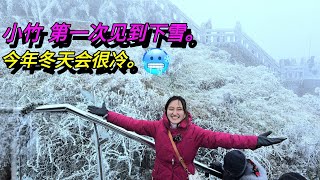 雪突然下起來了，小竹第一次親眼看到雪｜越南小竹