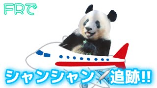 フライトレーダーでシャンシャンの飛行機を追跡しました✨約15時間の長旅お疲れ様😌