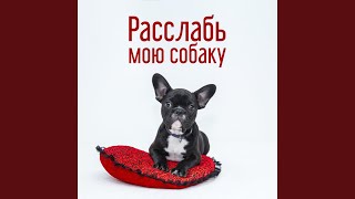 Мирный сон