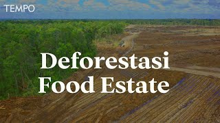 Deforestasi Food Estate Jokowi: Hutan Rusak, Banjir di Desa-Desa