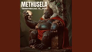 METHUSELA (feat. YG _PLUG)