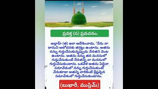 మేరీ మాత గురించి దివ్యఖురాన్ సాక్ష్యం #qurantelugu #quotes #motivation