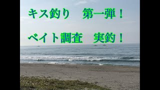 キス釣り　第1弾(百々海岸)ベイト調査実釣！！