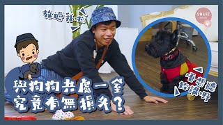 【奴才駕到節目】與狗狗共處一室  究竟有無損失？｜Smart Pet Pet