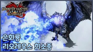 은화룡 리오레우스 희소종 첫 수렵영상 .  [Monster Hunter Rise : Sunbreak]