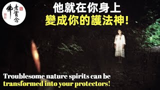 淨空法師: 妖魔鬼怪精靈等等為什麼引誘困擾你? Why being tempted and suffering interference by troublesome nature spirits?