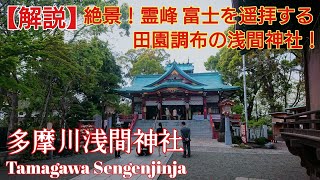 【解説】 絶世の美女コノハナサクヤヒメを祭る 『多摩川浅間神社』 絶景の神社【木花咲耶姫】