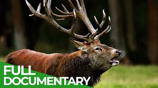 Our Seasons - The Circle of Life | Free Documentary Nature