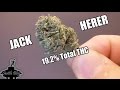 Jack Herer marijuana strain product review by Seattle Bliss