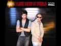 ENRIQUE IGLESIAS - I LIKE HOW IT FEELS FEAT. PITBULL & THE WAV.S