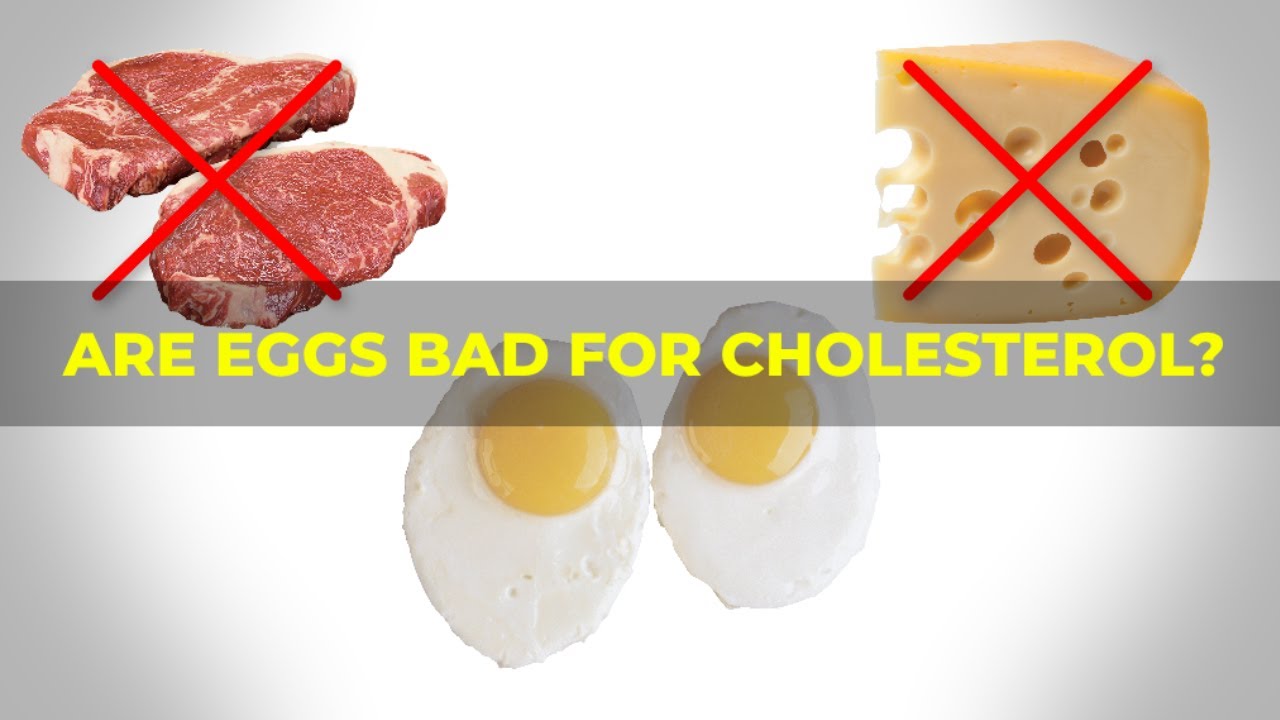 Do Eggs Contribute To Cholesterol Science Explained Youtube