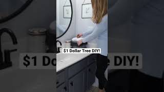 WOW $1 Dollar Tree DIY (one minute organization!) #Shorts