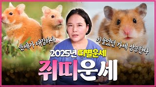 🐭2025년 띠별운세 쥐띠🐭 기세가 상승하여 승승장구하고, 운세가 대박터진다! / 익산점집 전주점집