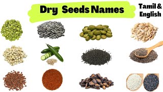 Dry Seeds Names in Tamil \u0026 English | Chia Seed, Flax Seed, Saliya Seed, Sesame, Pumpkin Seed, etc...