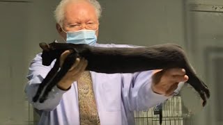 UNUSUAL MEMES COMPILATION V176