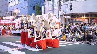 江戸っ子連 高円寺阿波おどり 2014