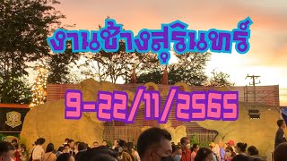 11/11/2022#งานช้างจังหวัดสุรินทร์#elephant festival at surin in Thailand