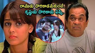 రాముడు దొరికాడనుకుంటే..కృష్ణుడు దొరికాడు.. Genelia \u0026 Brahmanandam Best Comedy Scene@cinemajatara​